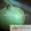 2012 New Fresh Yellow Onion